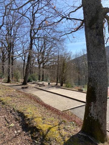 Klingenthal Le Cottage Pres Obernai מראה חיצוני תמונה